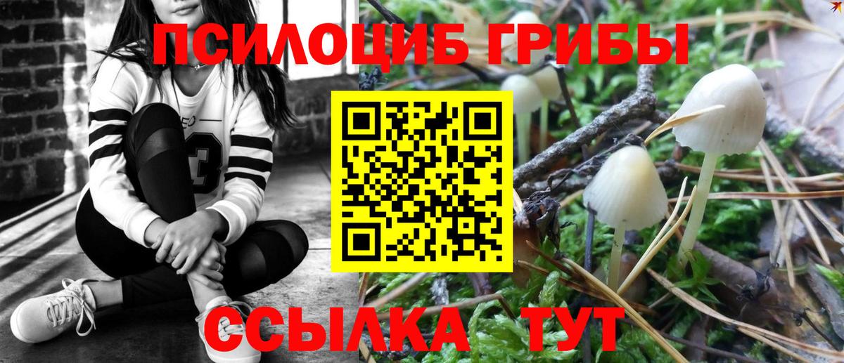Галлюциногенные грибы мухоморы  Вход с VPN  Галлюциногенные грибы Psilocybine cubensis  Зерноград 