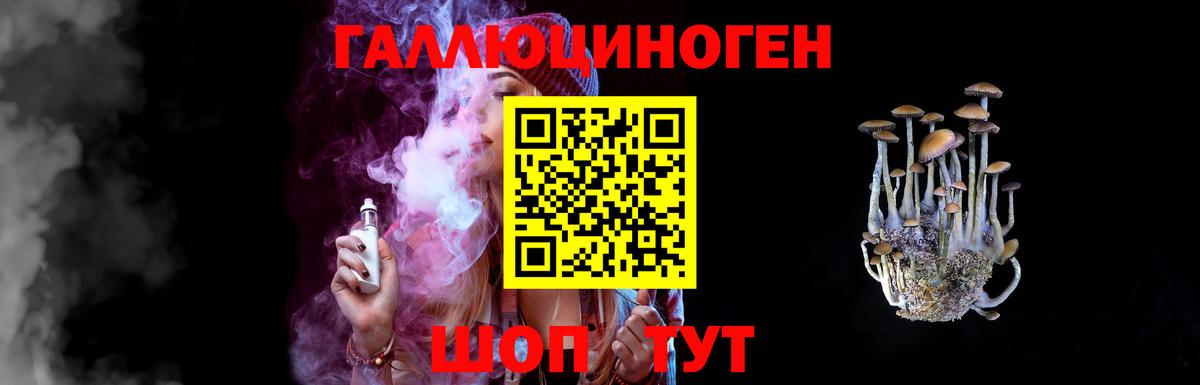 Галлюциногенные грибы Psilocybe Зерноград