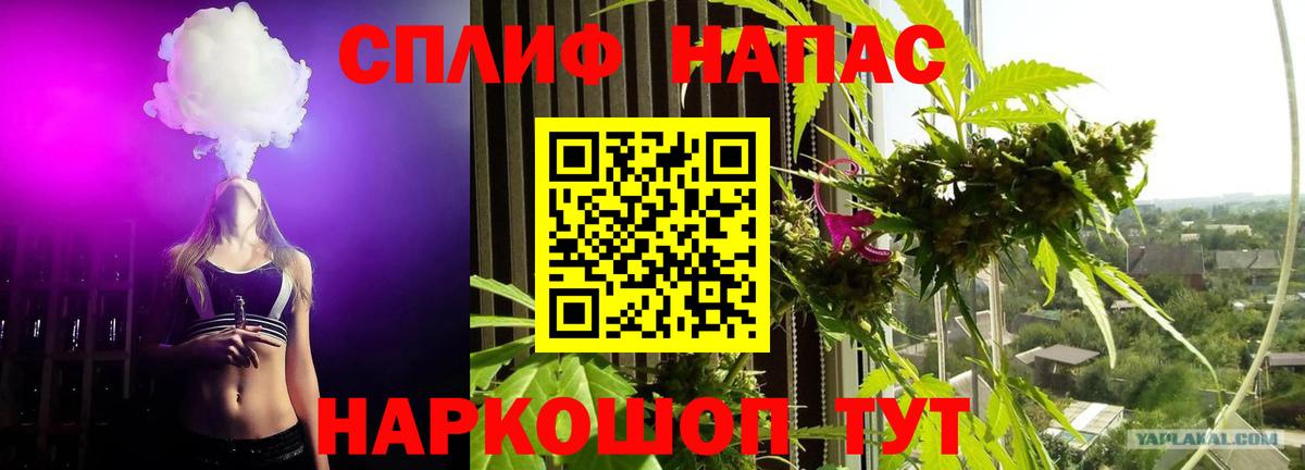 Бошки Шишки планчик  Каннабис планчик  Марихуана White Widow  Зерноград  Канабис Amnesia  Вход с VPN 